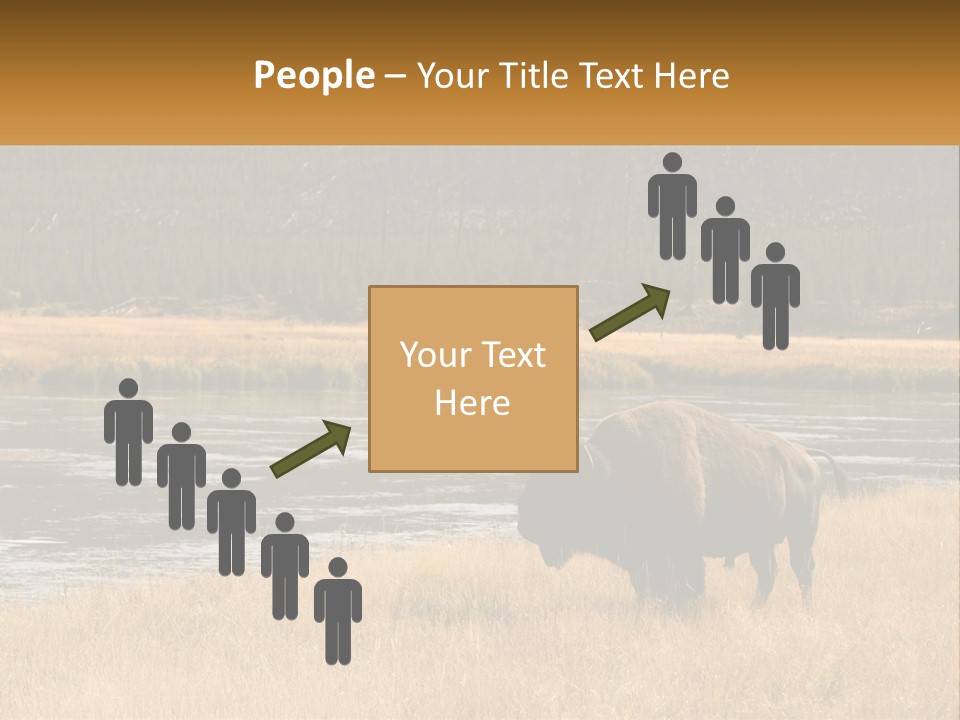 Meadows Indians Buffalo PowerPoint Template