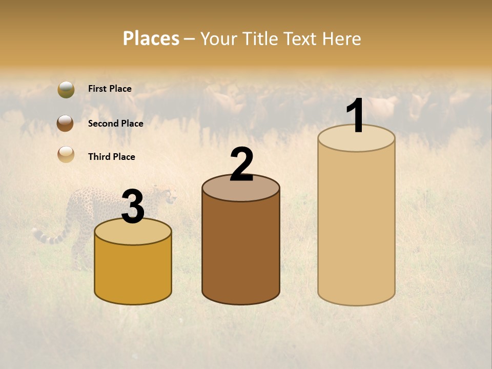 Stealth Big Looking PowerPoint Template