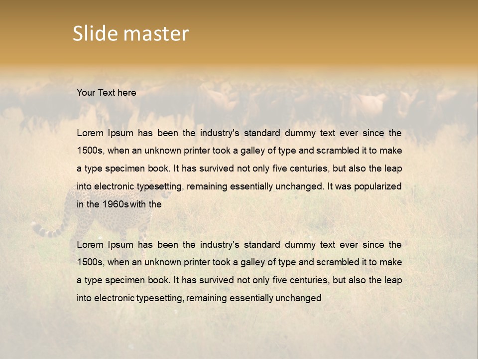 Stealth Big Looking PowerPoint Template