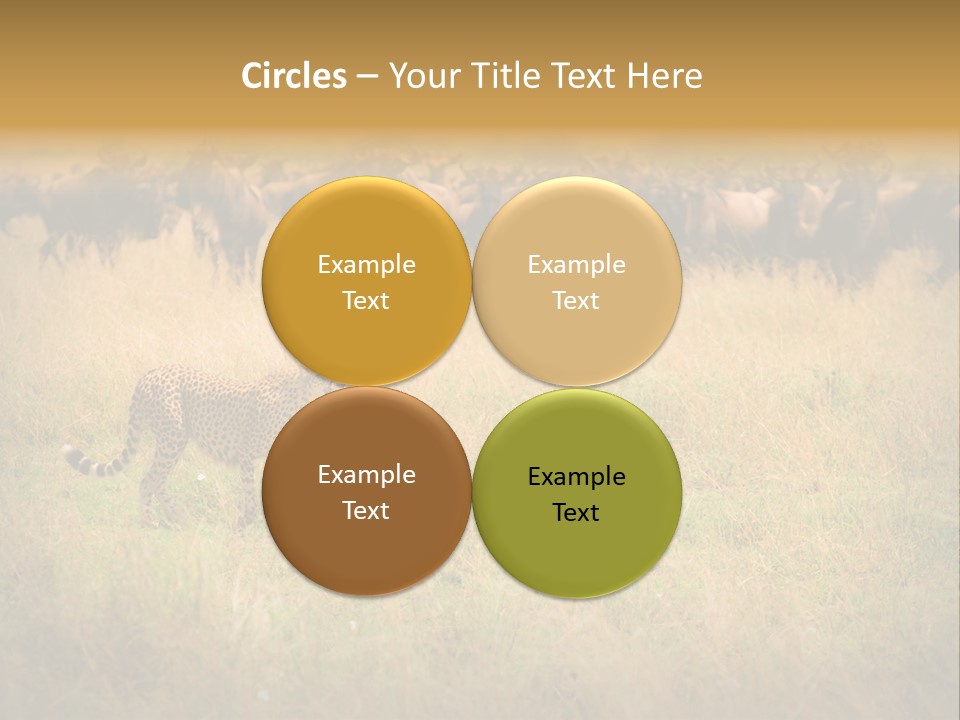 Stealth Big Looking PowerPoint Template
