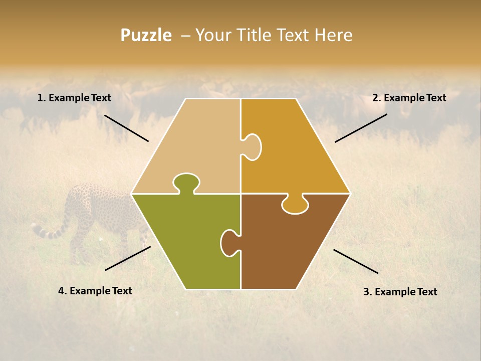 Stealth Big Looking PowerPoint Template