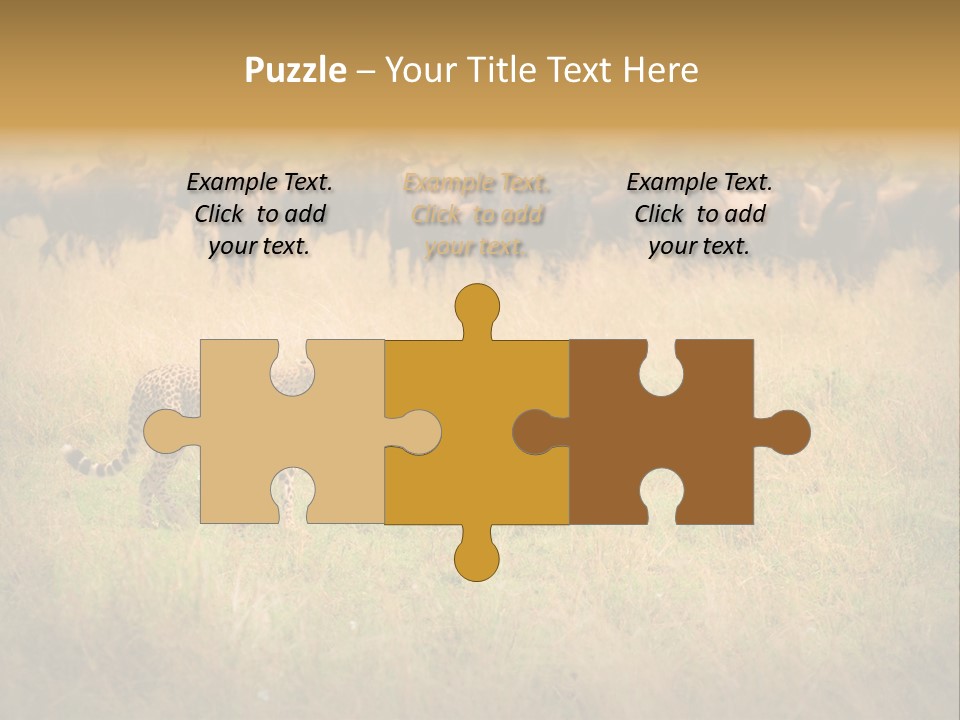 Stealth Big Looking PowerPoint Template