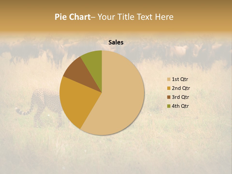 Stealth Big Looking PowerPoint Template