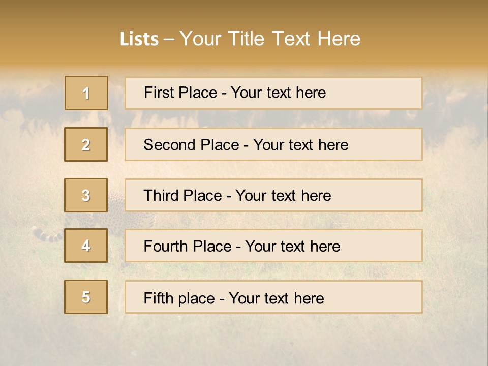 Stealth Big Looking PowerPoint Template