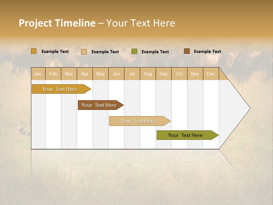 Stealth Big Looking PowerPoint Template
