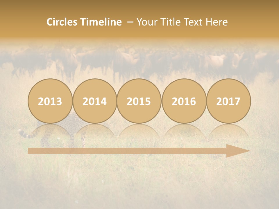 Stealth Big Looking PowerPoint Template