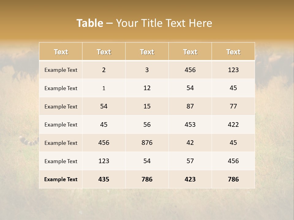 Stealth Big Looking PowerPoint Template