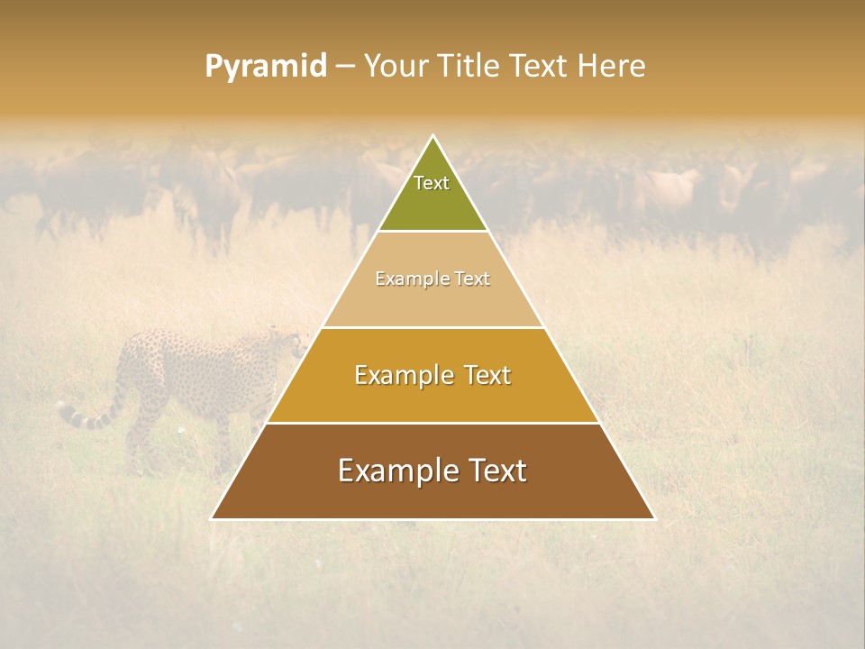 Stealth Big Looking PowerPoint Template