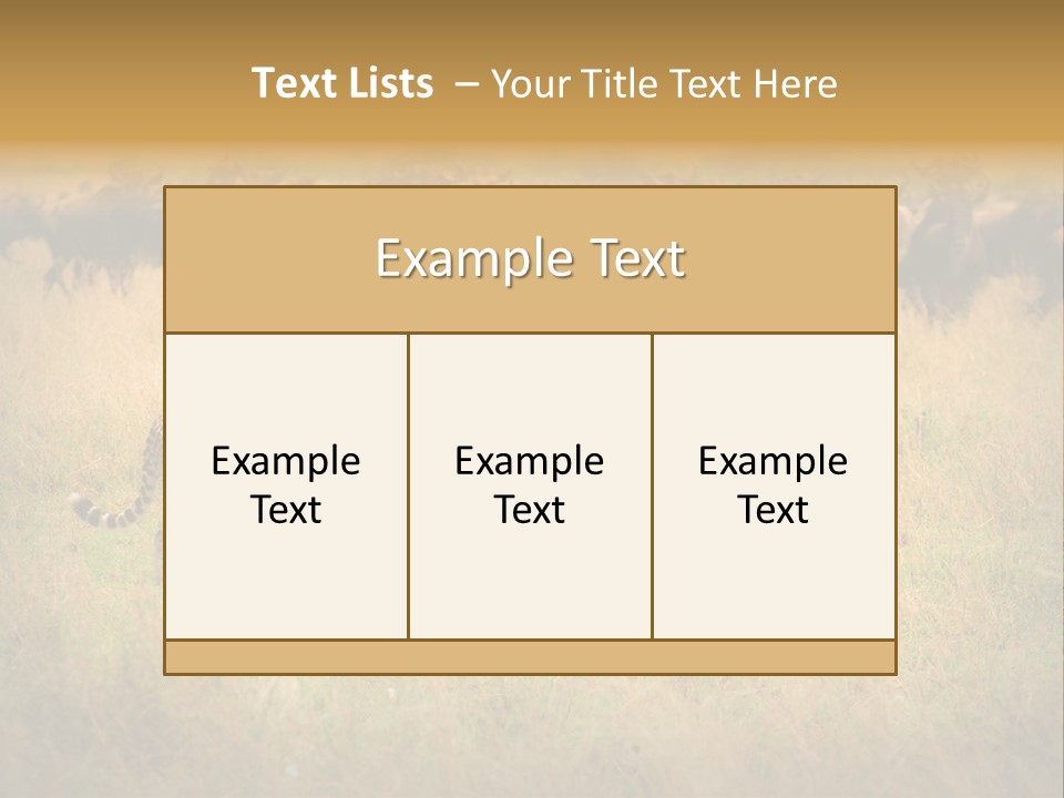 Stealth Big Looking PowerPoint Template