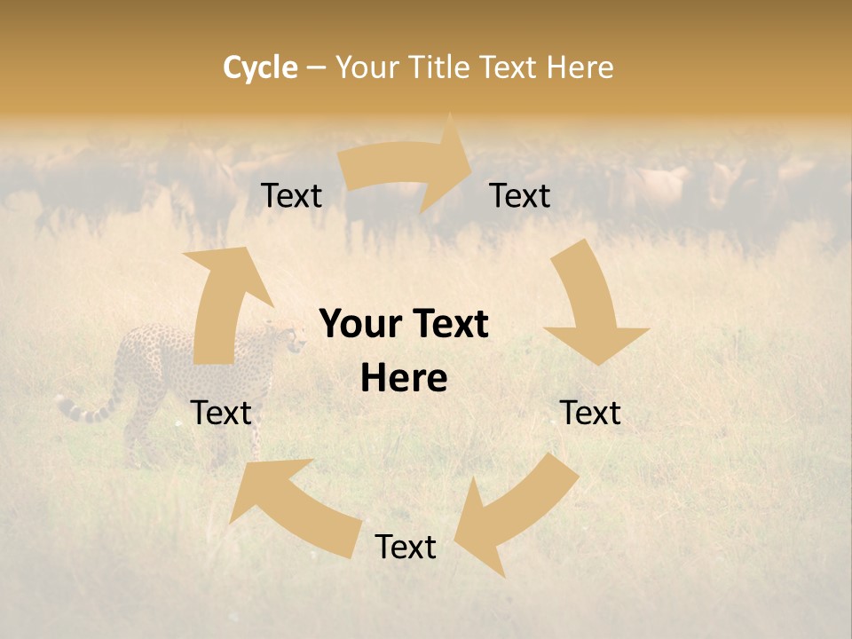 Stealth Big Looking PowerPoint Template