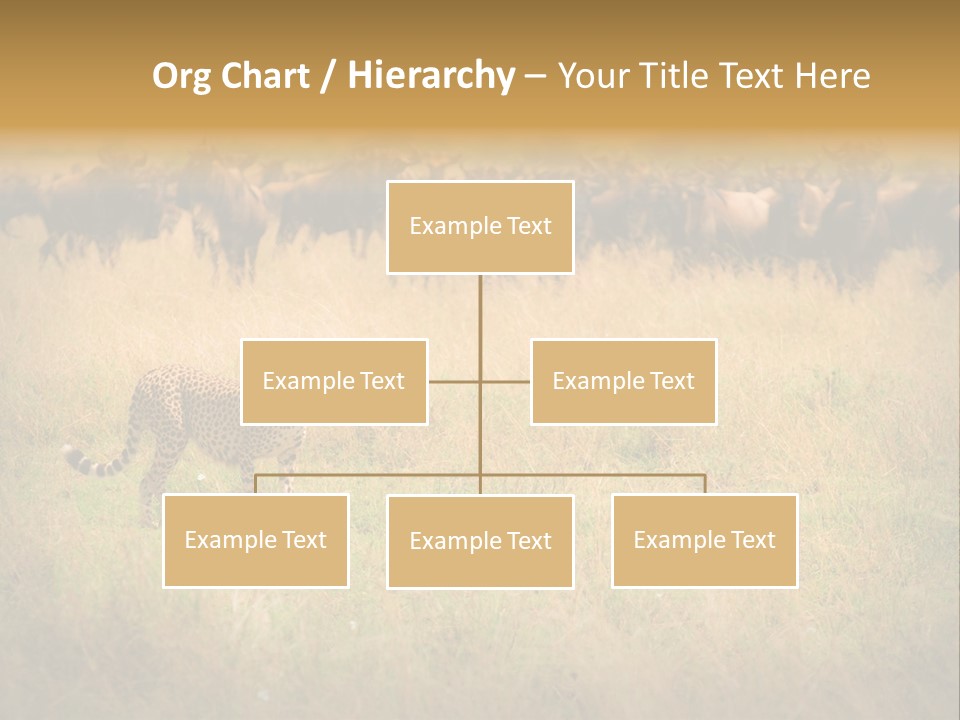 Stealth Big Looking PowerPoint Template