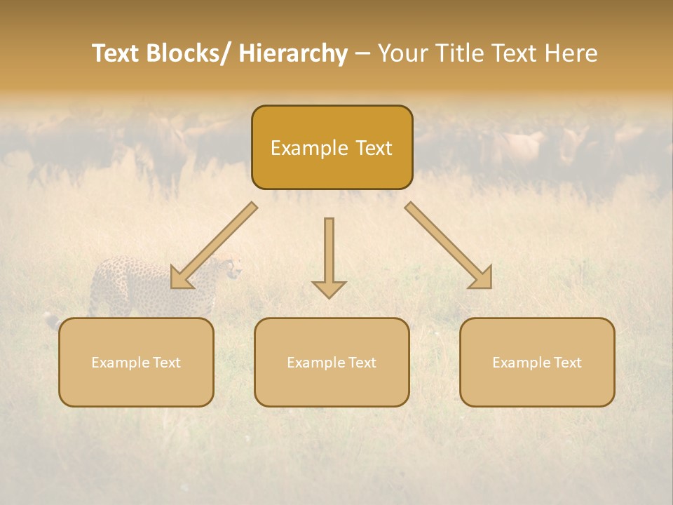 Stealth Big Looking PowerPoint Template