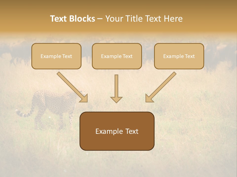 Stealth Big Looking PowerPoint Template