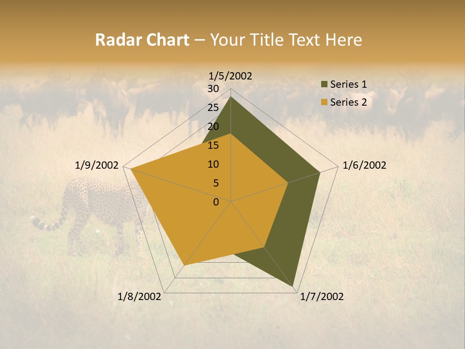 Stealth Big Looking PowerPoint Template
