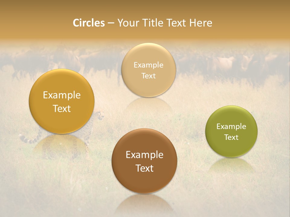 Stealth Big Looking PowerPoint Template