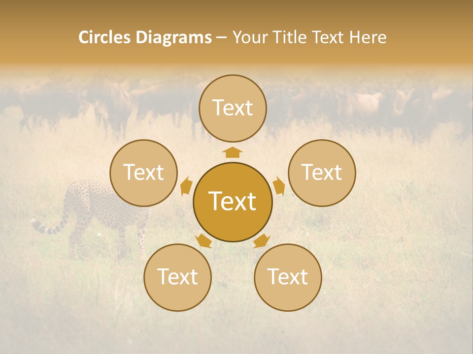 Stealth Big Looking PowerPoint Template
