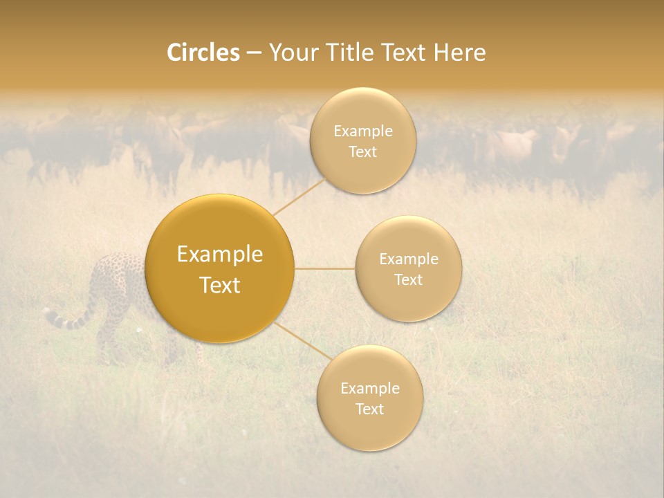 Stealth Big Looking PowerPoint Template