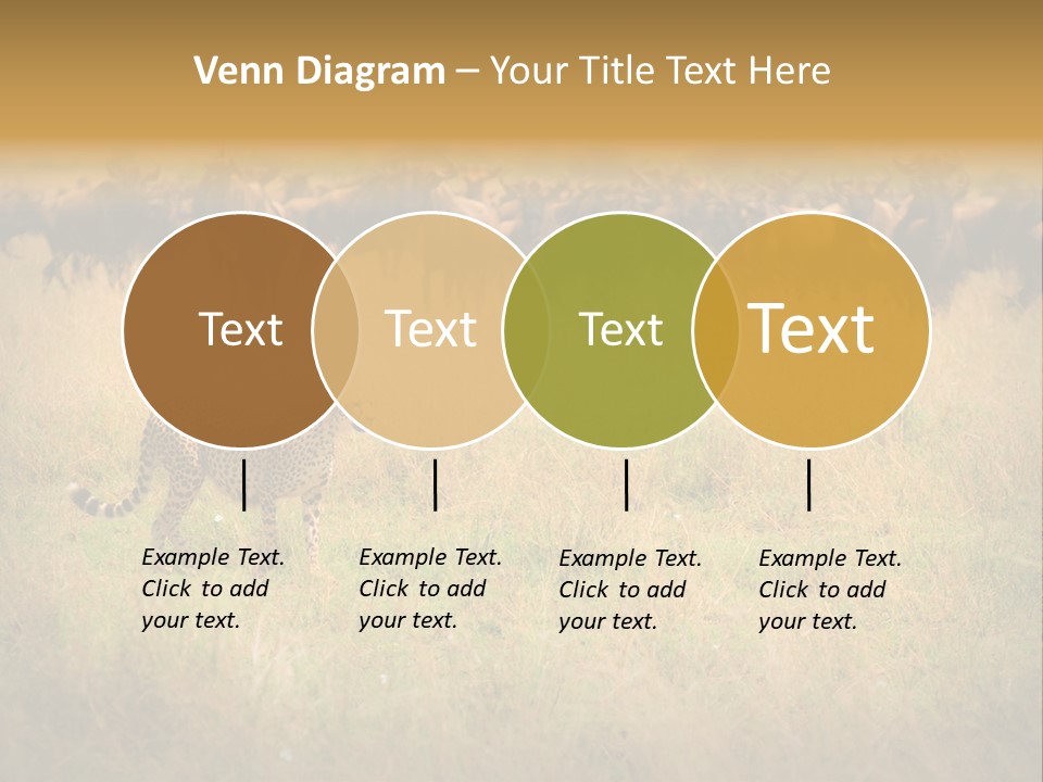 Stealth Big Looking PowerPoint Template