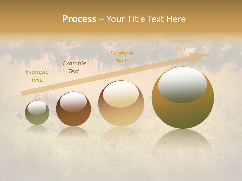 Stealth Big Looking PowerPoint Template
