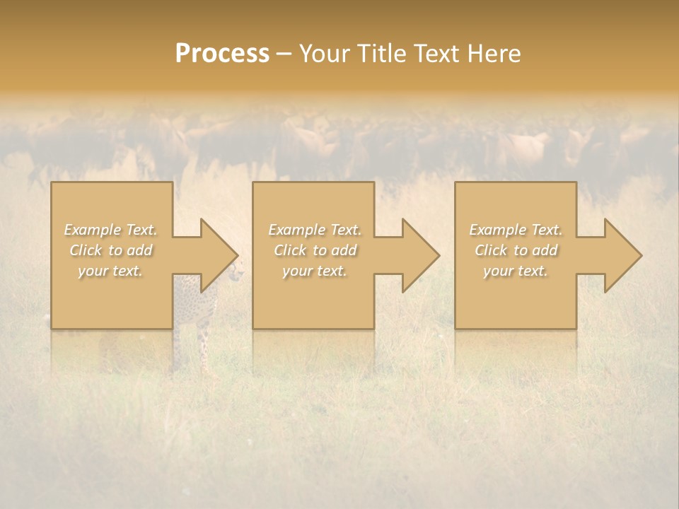 Stealth Big Looking PowerPoint Template