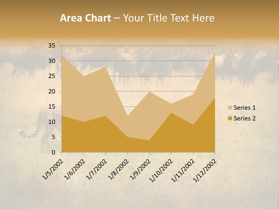 Stealth Big Looking PowerPoint Template