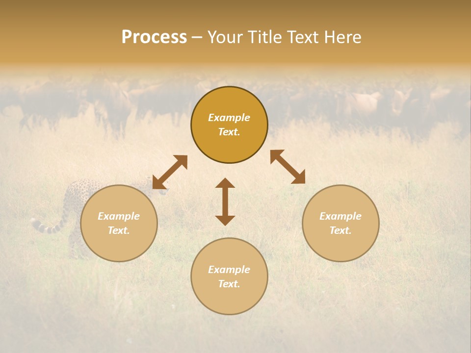 Stealth Big Looking PowerPoint Template