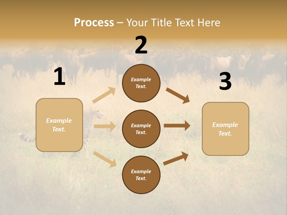 Stealth Big Looking PowerPoint Template