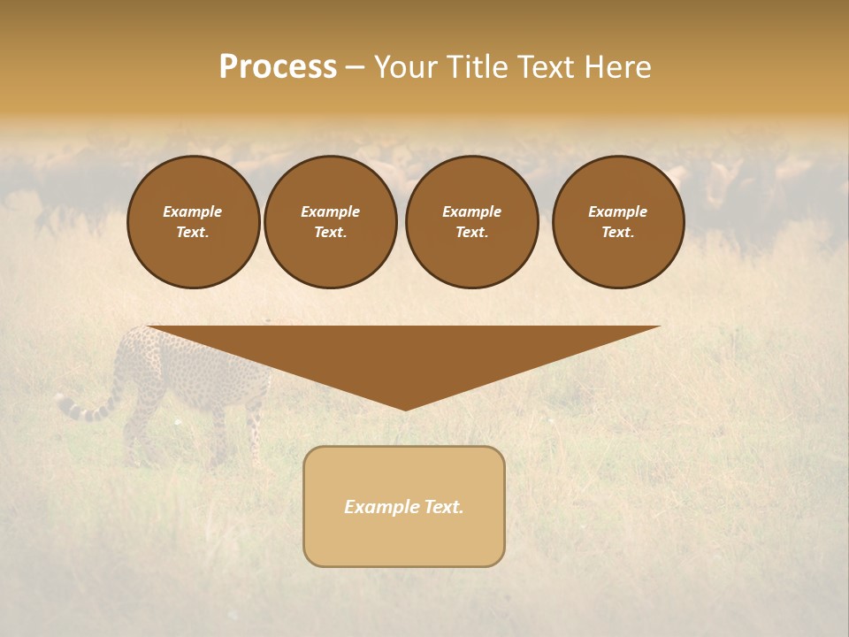 Stealth Big Looking PowerPoint Template