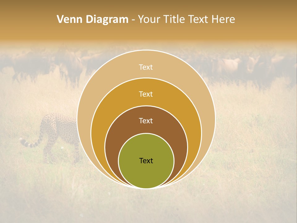 Stealth Big Looking PowerPoint Template