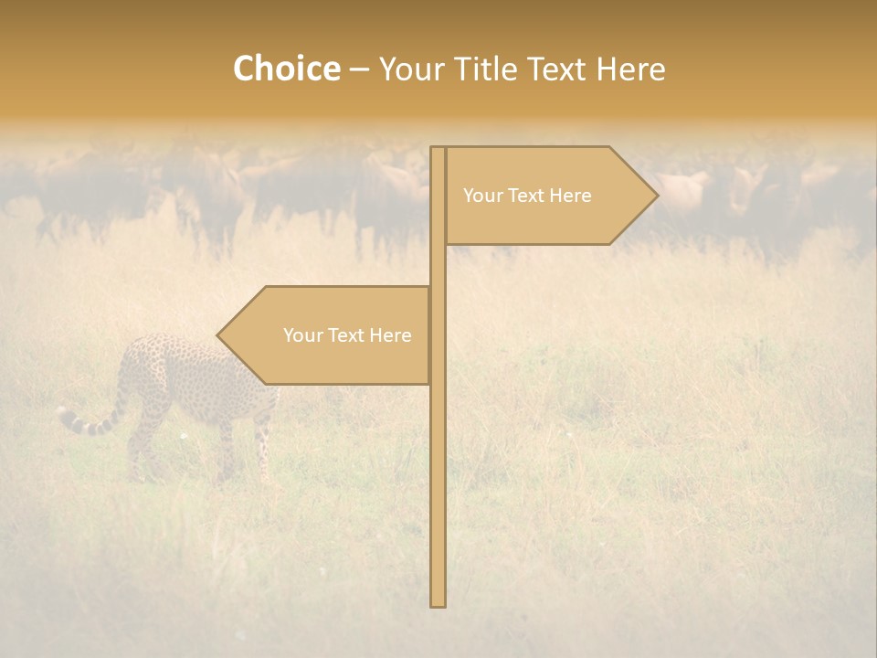 Stealth Big Looking PowerPoint Template