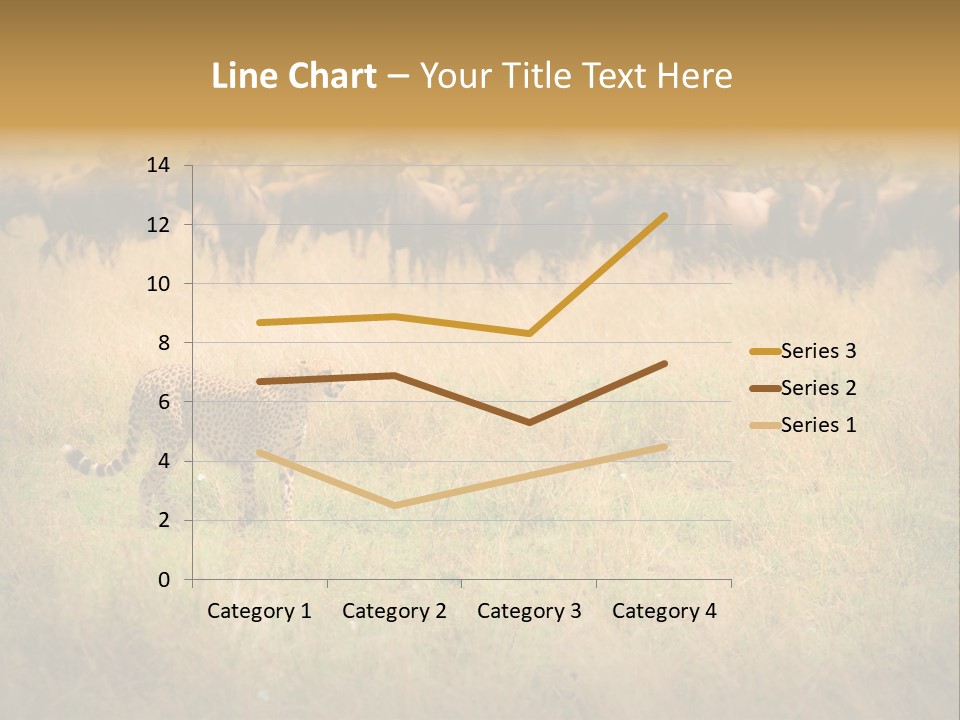 Stealth Big Looking PowerPoint Template