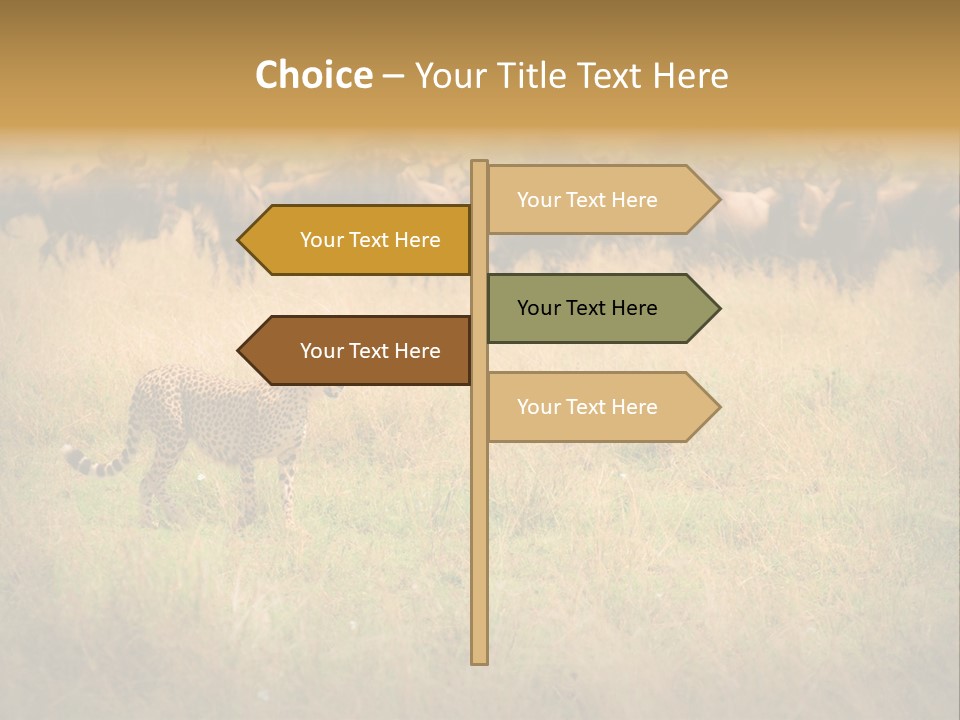 Stealth Big Looking PowerPoint Template