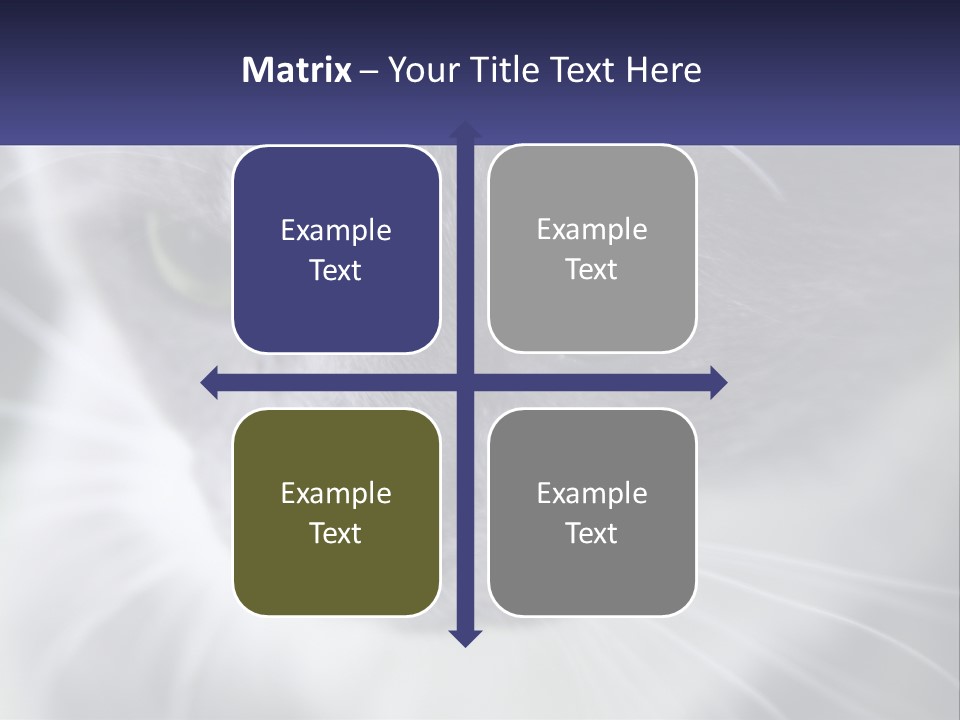 Texture Hair Playful PowerPoint Template