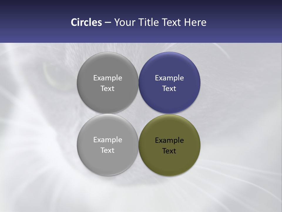 Texture Hair Playful PowerPoint Template