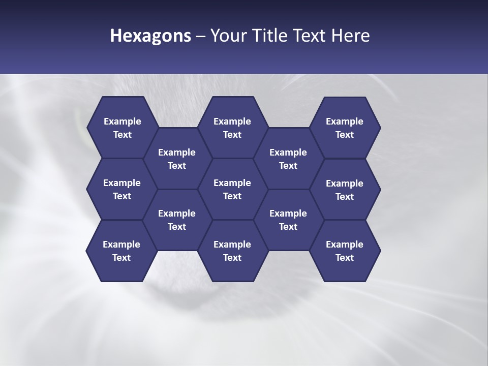 Texture Hair Playful PowerPoint Template