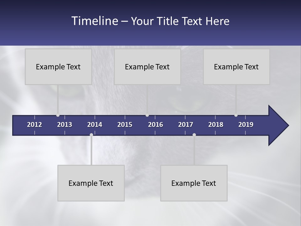 Texture Hair Playful PowerPoint Template