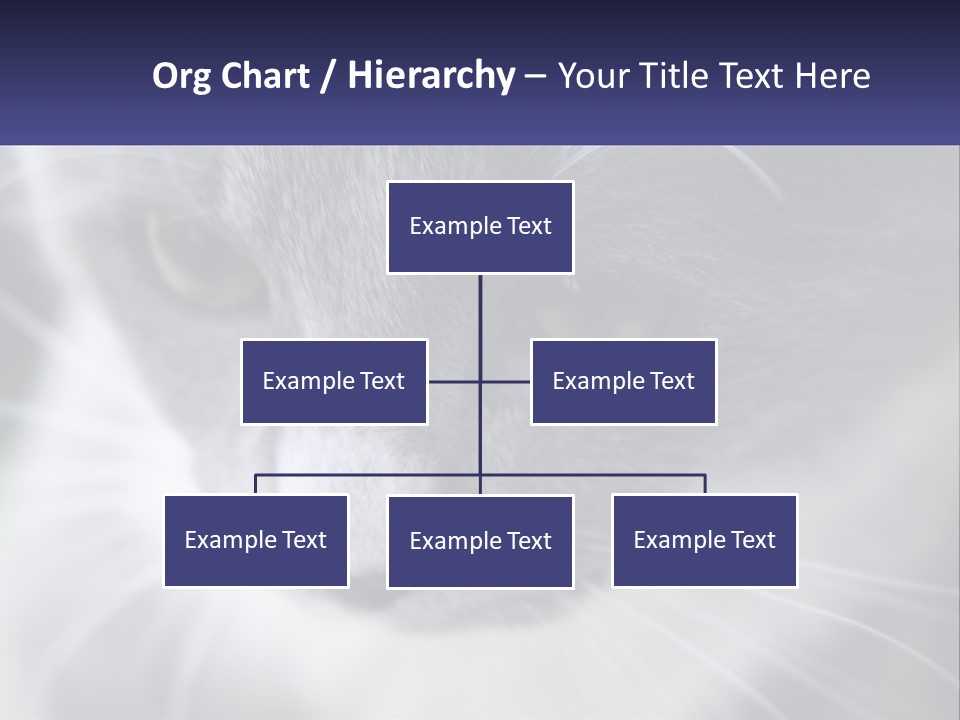 Texture Hair Playful PowerPoint Template