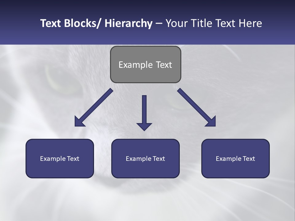 Texture Hair Playful PowerPoint Template