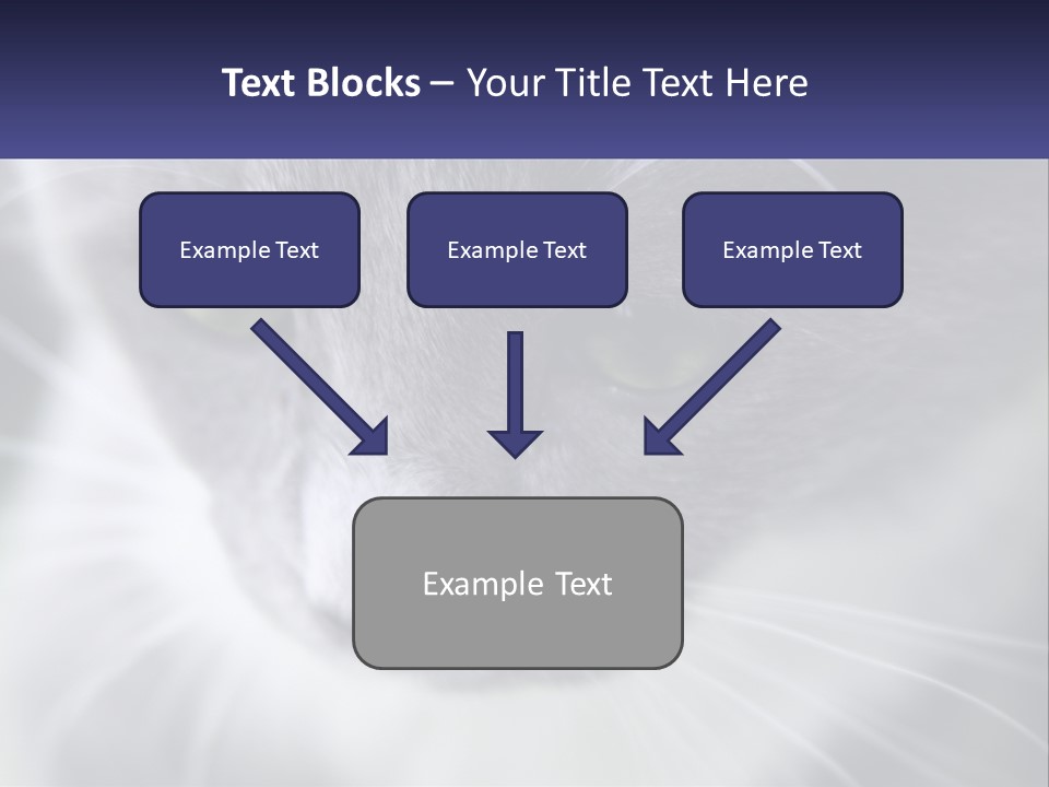 Texture Hair Playful PowerPoint Template