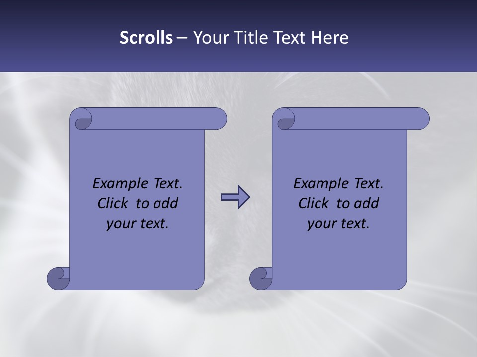 Texture Hair Playful PowerPoint Template