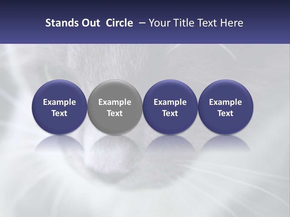 Texture Hair Playful PowerPoint Template