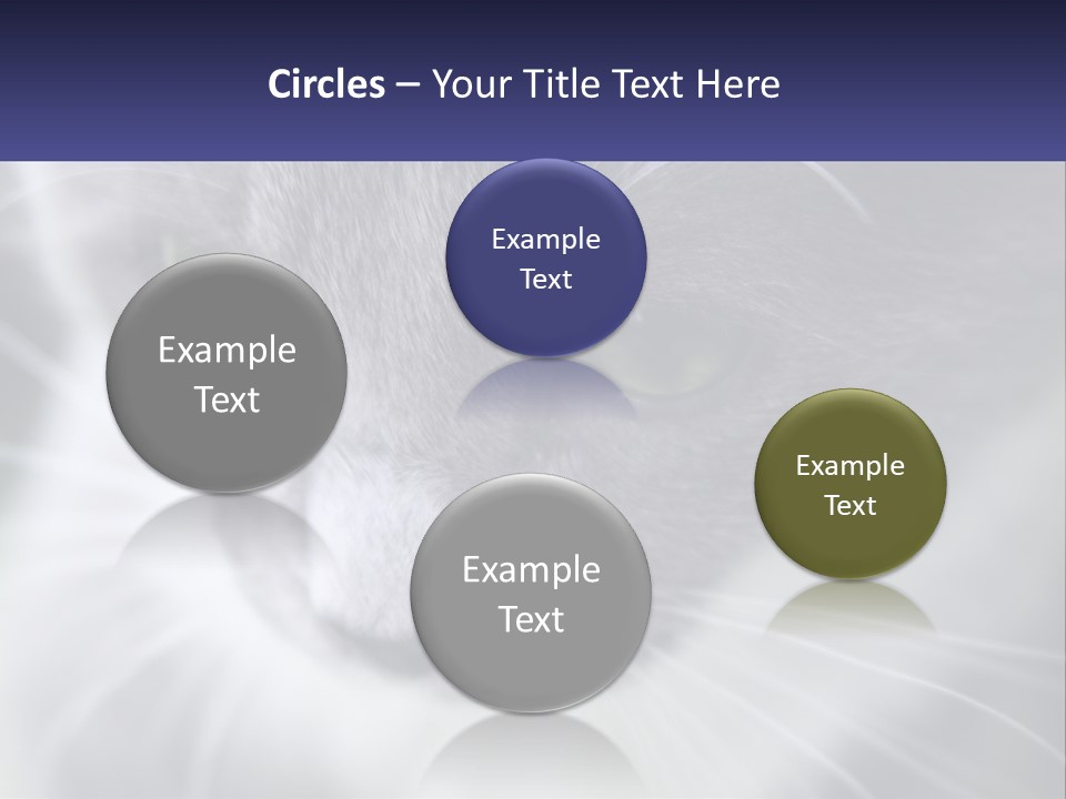 Texture Hair Playful PowerPoint Template