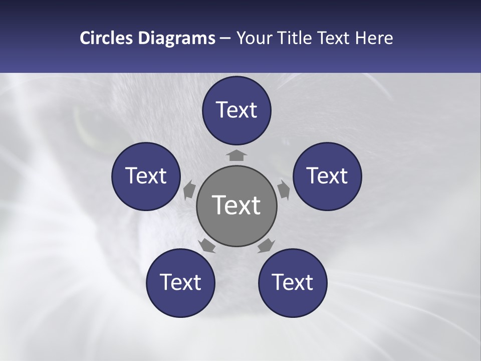 Texture Hair Playful PowerPoint Template