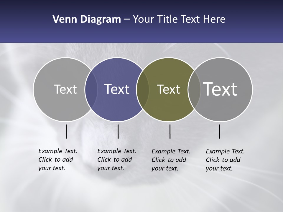 Texture Hair Playful PowerPoint Template