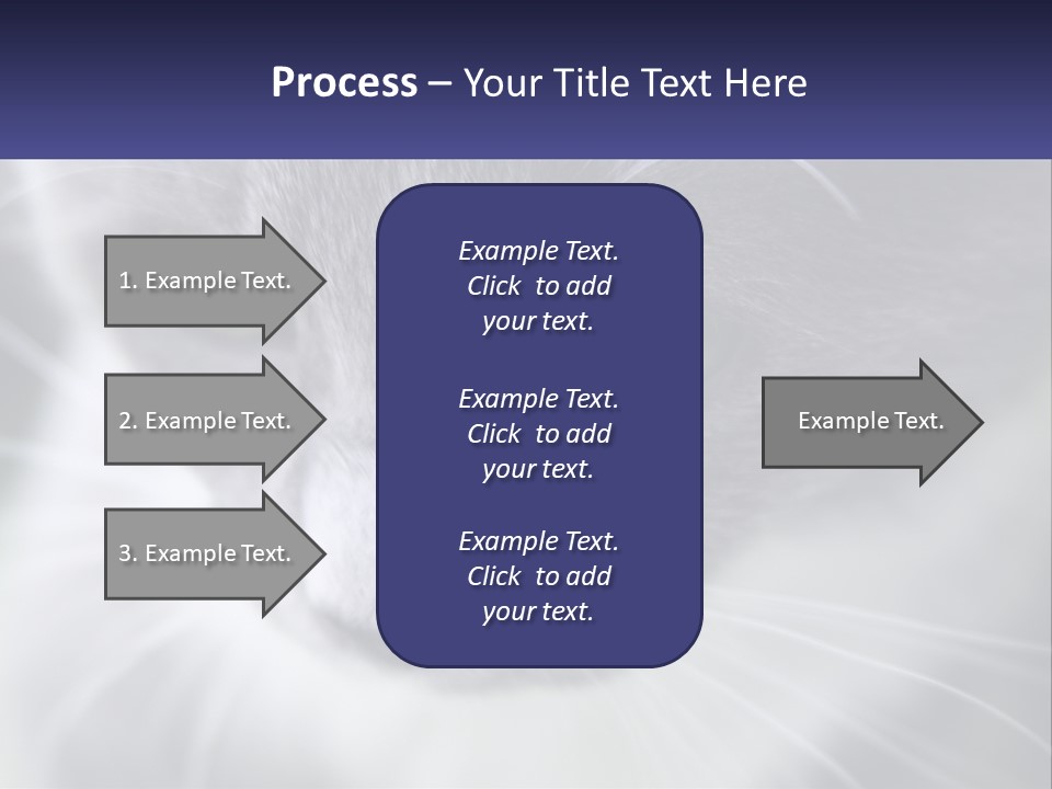 Texture Hair Playful PowerPoint Template