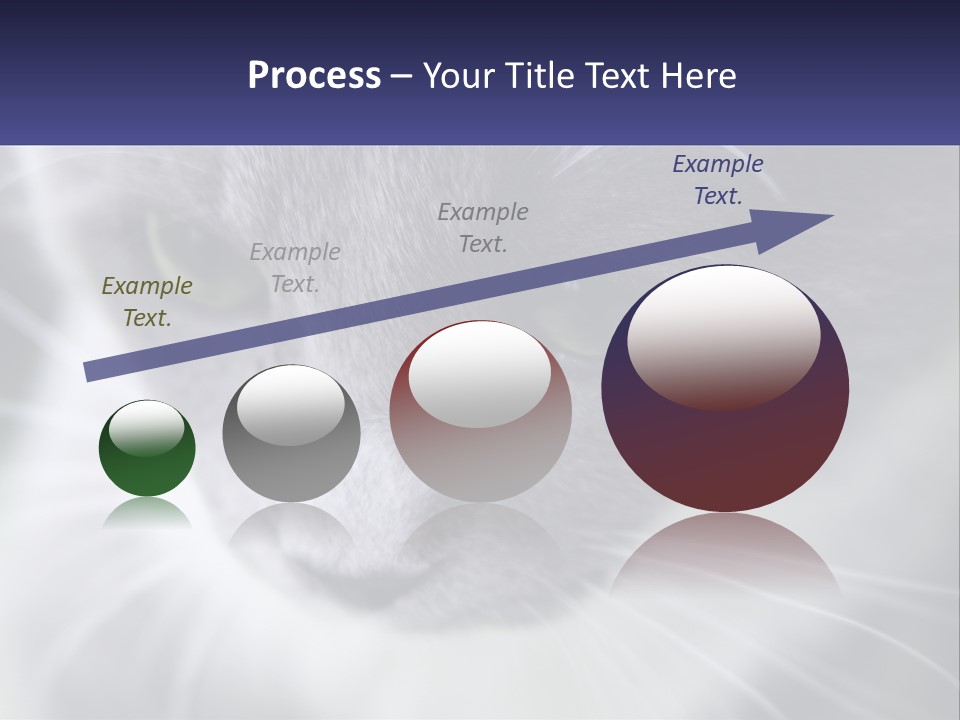 Texture Hair Playful PowerPoint Template