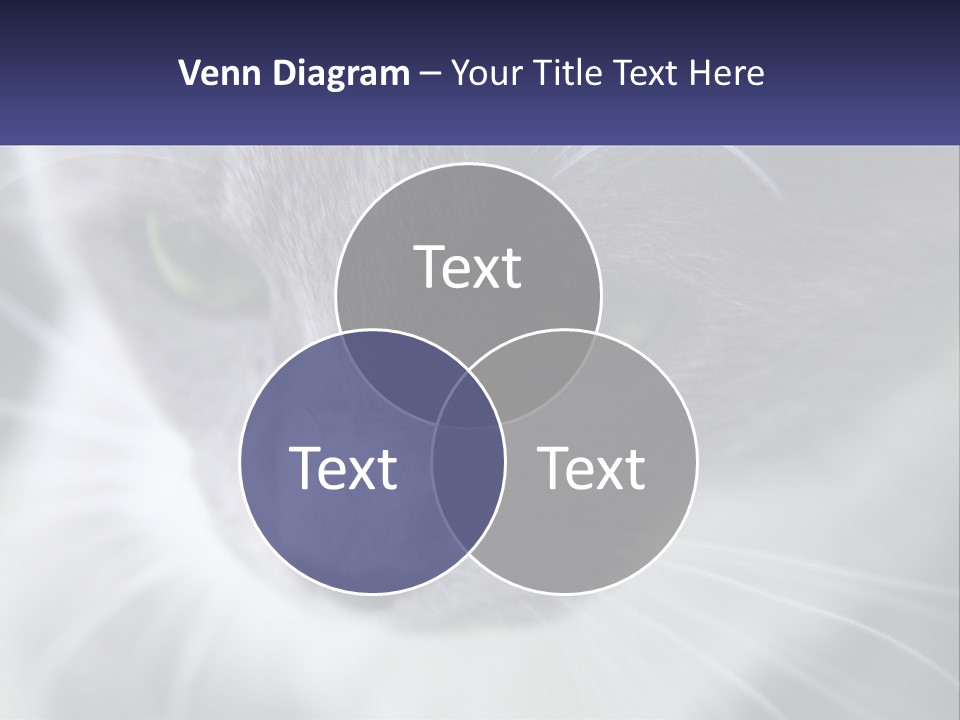 Texture Hair Playful PowerPoint Template