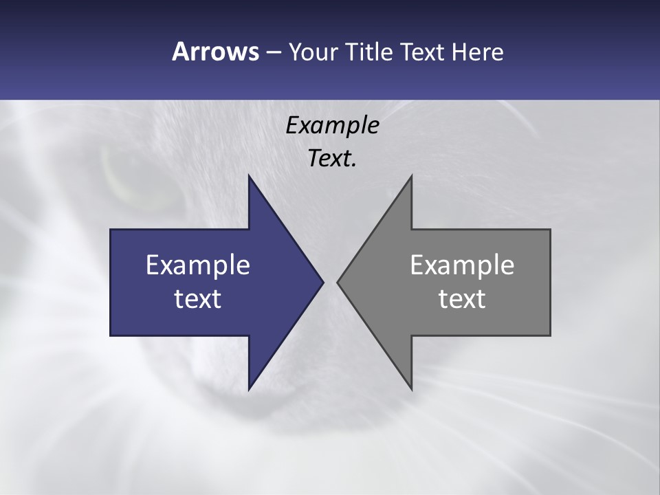 Texture Hair Playful PowerPoint Template