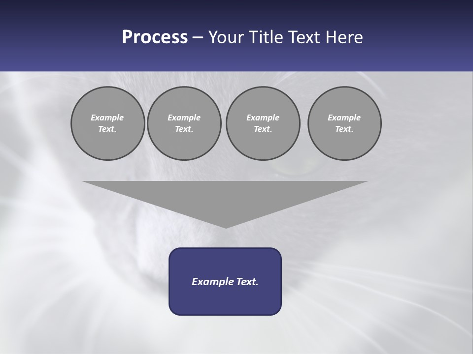 Texture Hair Playful PowerPoint Template