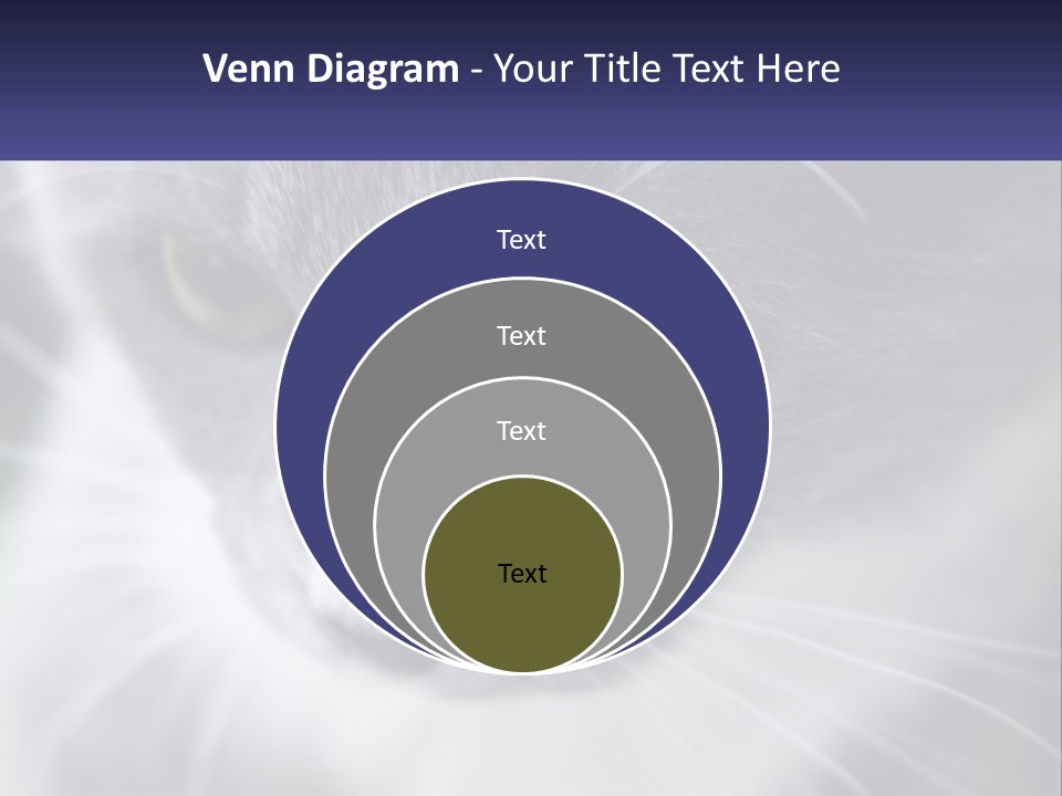 Texture Hair Playful PowerPoint Template